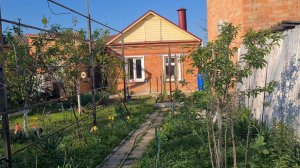 Какая пенсия у меня, сына и мамы? Как я отношусь к донатам? Работа Олега.