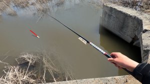 10 СМ ВОДЫ, а ЗОЛОТОЙ ПРЁТ ПОПЛАВОК...Рыбачу в луже на карася! Весенняя рыбалка 2026