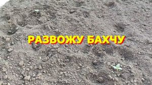 76. Переехали на Юг. Развожу бахчу.
