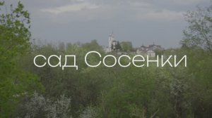 сад Сосенки