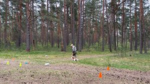 РО3, Дмитриева Людмила, Джой Оф Спирит Дольче-Вита, Кубок Панды по Ралли Обидиенс 2026