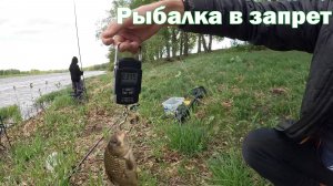 Рыбалка в запрет !!! ( 2026 )