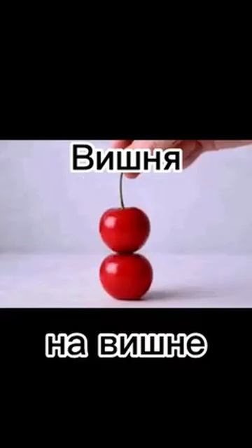 вищьня смотреть онлайн