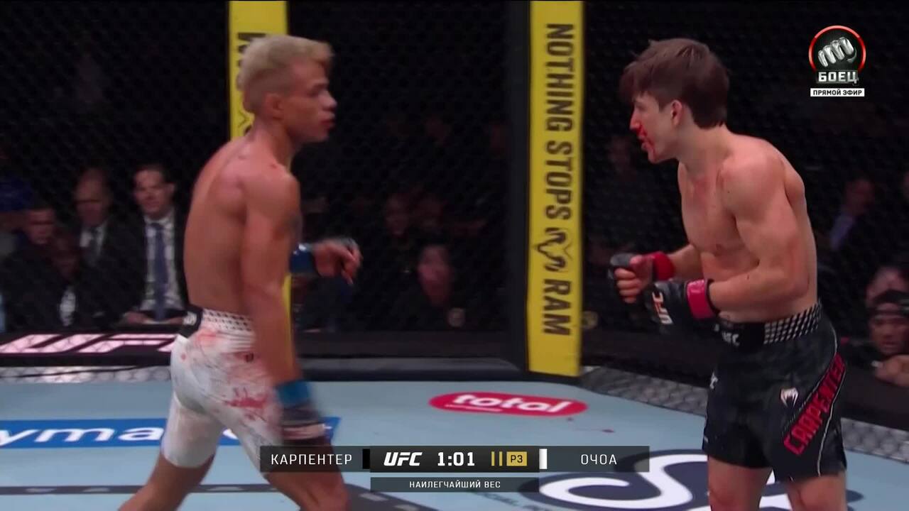 Клэйтон Карпентер против Хосе Очоа (видео). UFC 328
