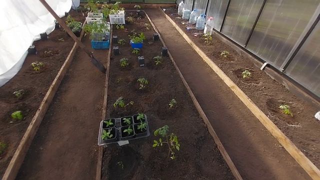 Живу ни кого не трогаю. Жизнь на пенсии в Деревне.