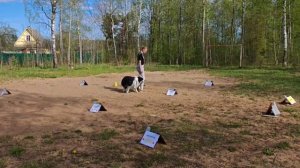 Кубок Панды 2026 по Ралли Обидиенс РО4 Гаврилова Анна и Ингардия Юнео