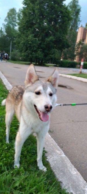 мы на площадке