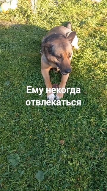 Вечер 9-го мая
