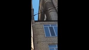 Практика студентов группы ПЖ-31