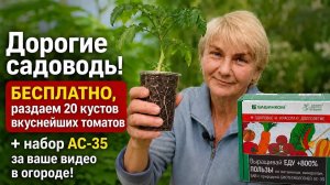 Бесплатная рассада томатов и набор АС-35 для огорода