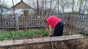 Успела все что запланировано.  Работаем в огороде с помощниками.Жизнь в деревне
