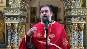 Исполняющий волю Божию сыт Богом.  Протоиерей Андрей Ткачёв