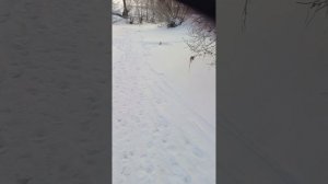 Рыбалка на жерлицы в Башкирии