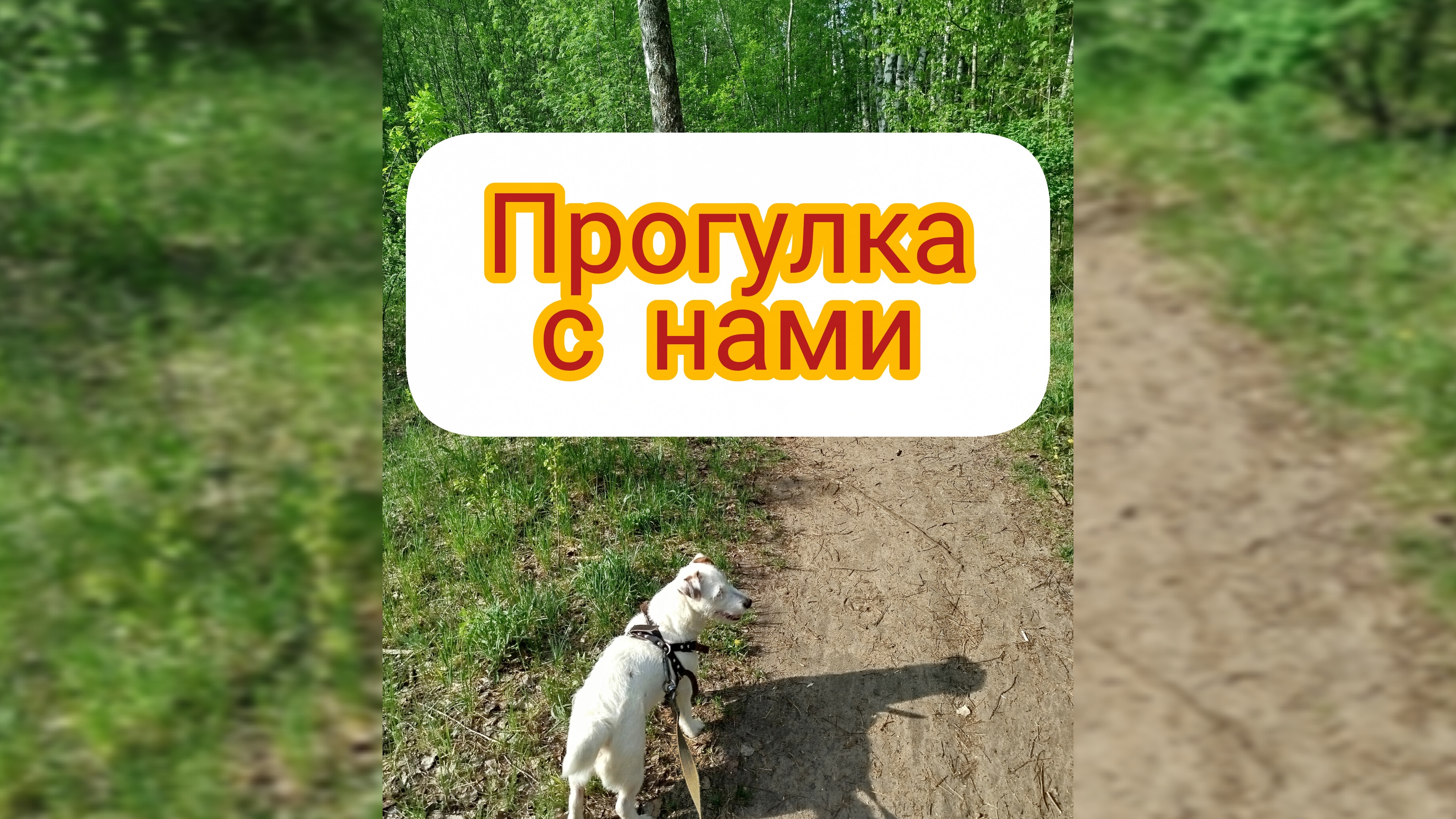 Такие моменты