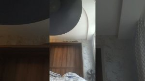 Мой телефон