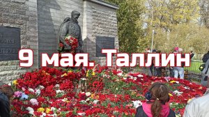 9 мая 2026 г. Таллин. День Победы