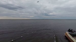 Рыбалка на реке. Ловля неводом.