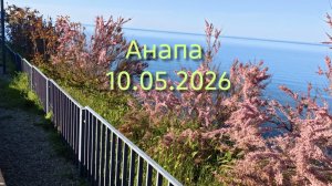 Анапа 10.05.2026