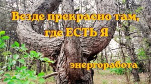 Везде прекрасно там, где ЕСТЬ Я. 10.05.2026 Энергоработа #вселеннаяя #энергоработа #перерождение