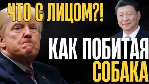 Это какой то позор! Остались считанные дни. Дядя Сэм у разбитого корыта