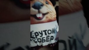Крутой бобёр и я 1 серия