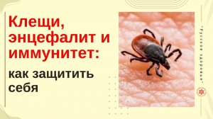 Клещи, энцефалит и иммунитет: как защитить себя