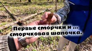 Сморчки и сморчковая шапочка в мае. Грибы весной. Поход за грибами в лес полный клещей. Грибы 2026.