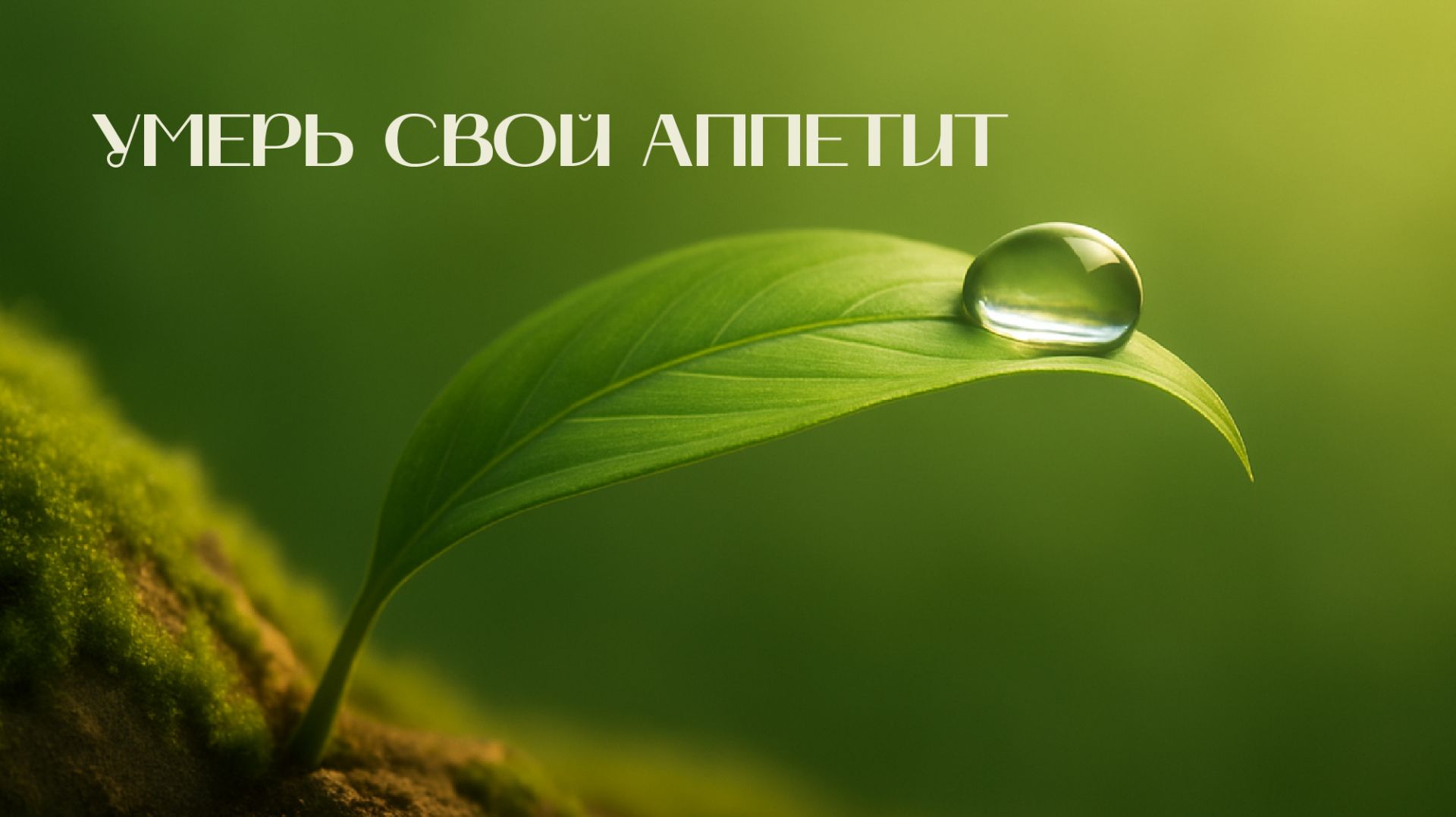 Древо жизни | Умерь свой аппетит