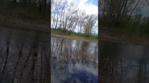 гуляю по остров татышев