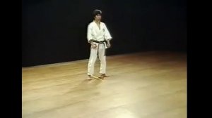 05 - Ката Хэйан Годан (Heian Godan) Шотокан Каратэ