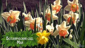 Ботанический сад. Май (2026)