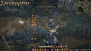 Black Desert 2026.05.08 - 17.11.59.07