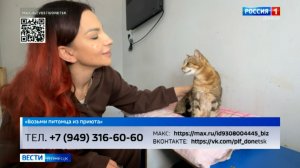 Возьми питомца из приюта. Зайка