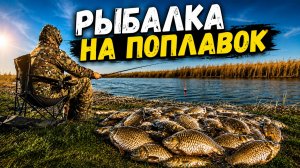 РЫБАЛКА МЕЧТЫ! КАРАСЬ КЛЕВАЛ БЕЗ ПАУЗ Рыбалка на поплавок 2026