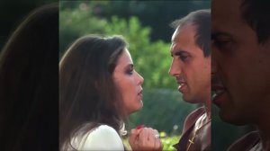 УКРОЩЕНИЕ СТРОПТИВОГО  (1980)