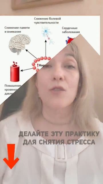 Как стресс разрушает иммунитет