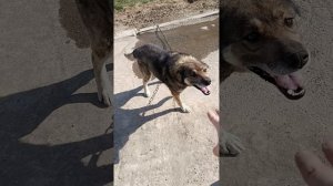 выходные в селе