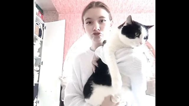 Какая порода кошек самая ласковая? 🤔🐱