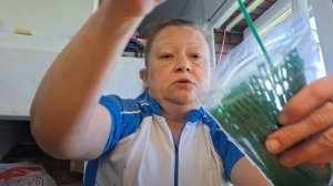 обзор семян,и не только 11.05.26