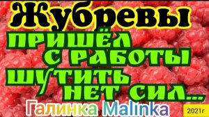 Жубревы Life Vlog _Обзор Влогов _Пришёл с работы, шутить не сил __
