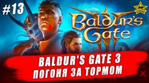 Baldur's Gate 3 #13. Погоня за Кетериком Тормом - Стрим на заказ