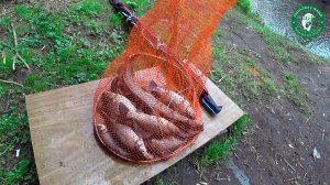 РЫБАЛКА НА МАРИУПОЛЬСКУЮ СНАСТЬ! РЫБАЛКА НА РЕКЕ ТАГИЛ, ДОНКА, ПОПЛАВОЧКА, КАРАСЬ, БОНУСОМ ЩУКА!
