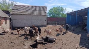 Настали горячие денечки