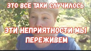 253🏡Неприятности с утра/Остались без воды/Все- таки заболела/Первая своя клубничка