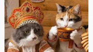Из жизни нейрокотиков