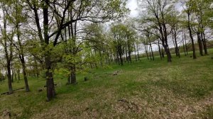 SpeedyBee Mario mini25, dji O4 airunit lite footage #fpv #drone #dji #fpvdrone