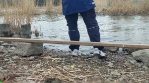 Рыбаловная каша и небольшой прудик. Пришёл порыбачить в весеннее время.