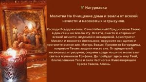 Молитва На Очищение дома и земли от всякой нечисти и насекомых и грызунов.