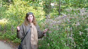 Год с аптекарским огородом. 9. Середина сентября.