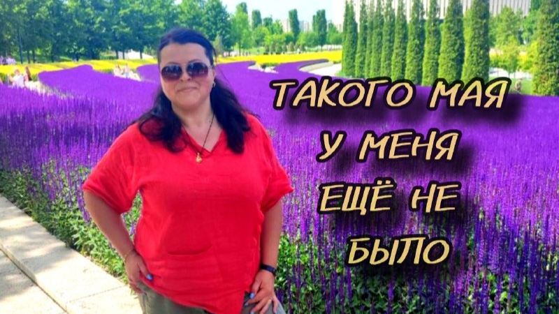 Май. Большая прогулка по ЮЖНОМУ саду #5. ХВОЙНЫЕ растут на глазах. Смотрим, что цветёт в саду